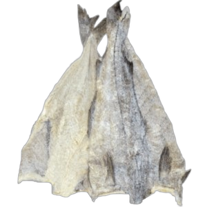 Ambassade Salé Séché